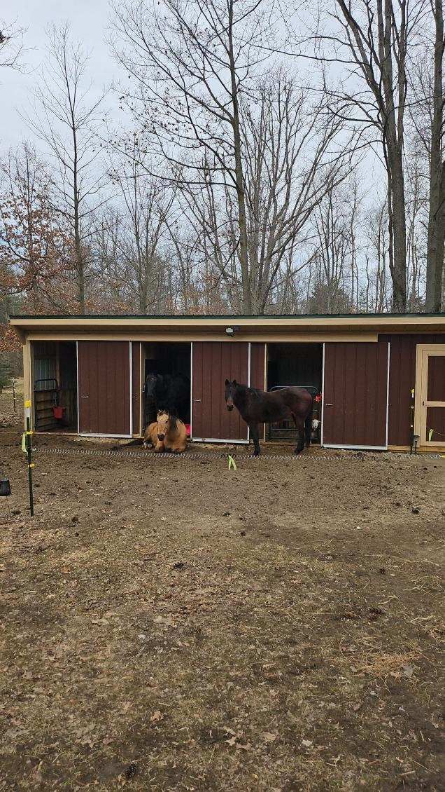 view of stable