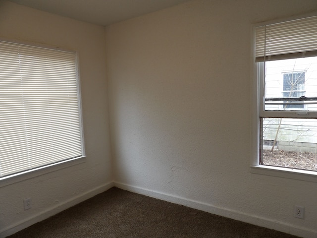 unfurnished room featuring carpet flooring and a healthy amount of sunlight