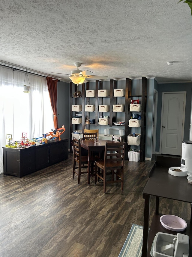 dining space featuring ceiling fan, a textured ceiling, and dark hardwood / wood-style flooring