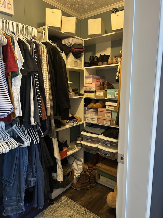 walk in closet featuring dark wood-type flooring