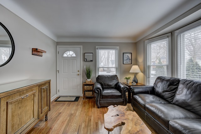 living room featuring plenty of natural light and light wood-type flooring