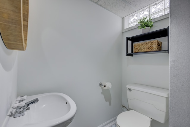 bathroom featuring sink, a paneled ceiling, and toilet