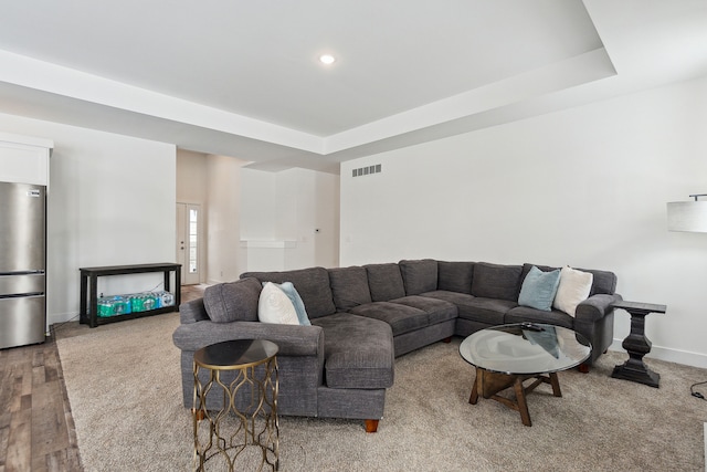 living room featuring light hardwood / wood-style flooring and a raised ceiling