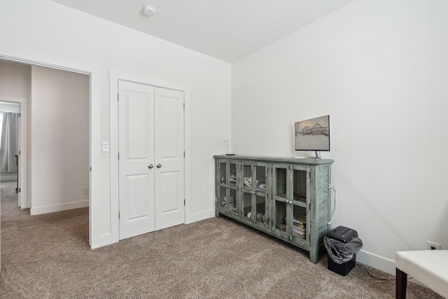 interior space with carpet floors and a closet