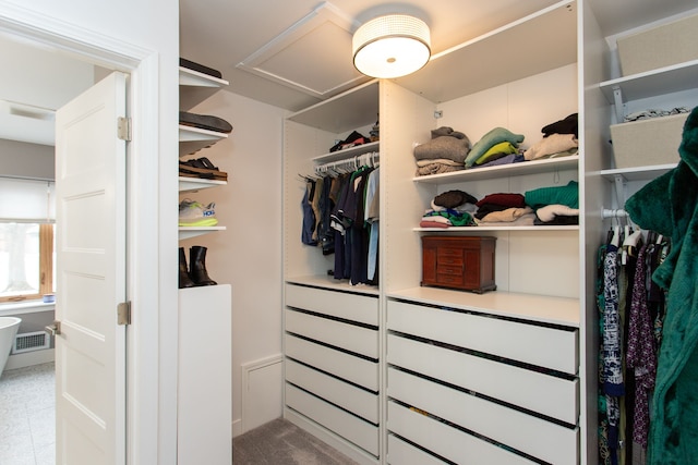 view of walk in closet