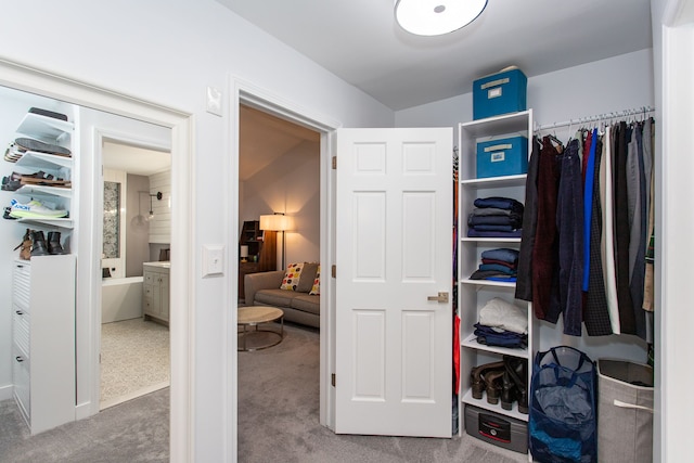 spacious closet featuring carpet