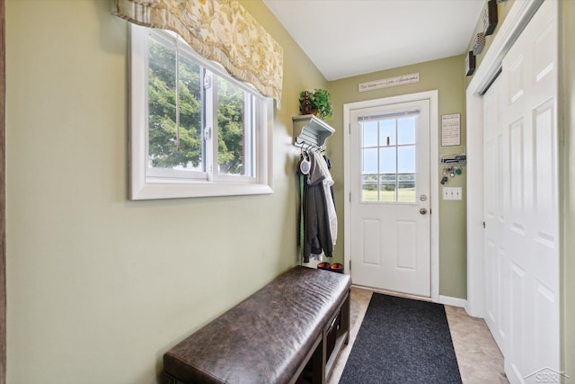 mudroom featuring a wealth of natural light