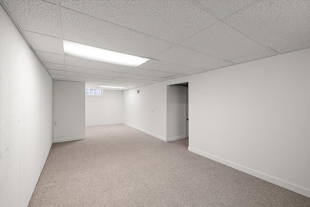 basement featuring a drop ceiling and carpet flooring