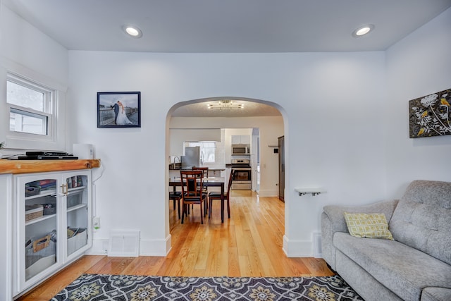 living room featuring a healthy amount of sunlight and wood-type flooring