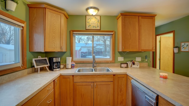 kitchen with sink and stainless steel dishwasher