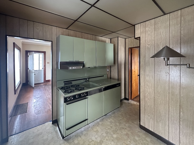 kitchen with wooden walls and green cabinetry