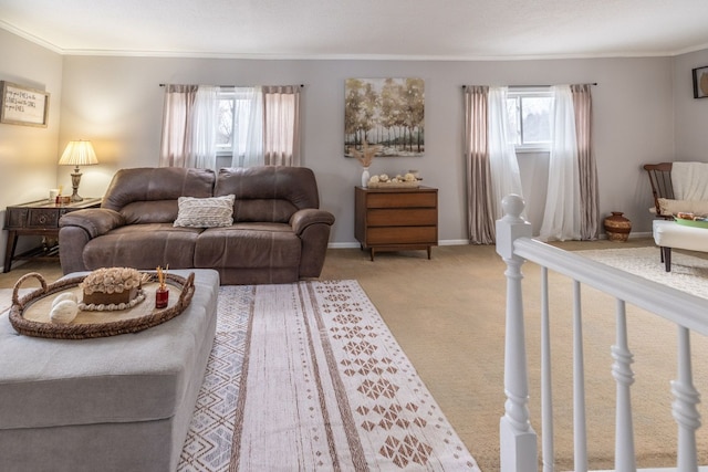 living room with crown molding and light carpet