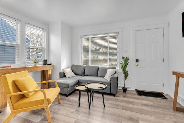 living room with light hardwood / wood-style floors