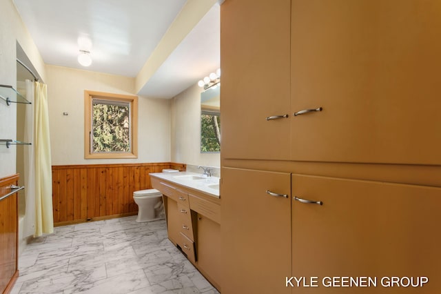 bathroom featuring vanity, toilet, and wooden walls