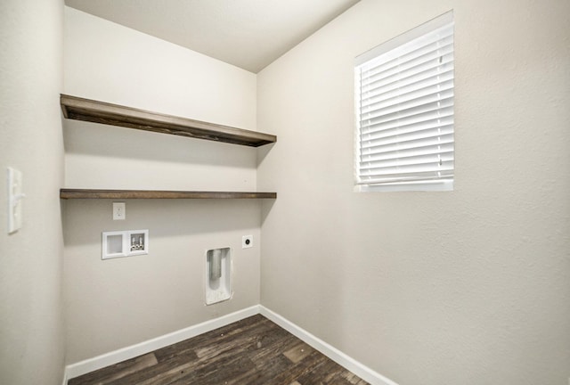 laundry area with hookup for an electric dryer, dark wood-type flooring, and washer hookup