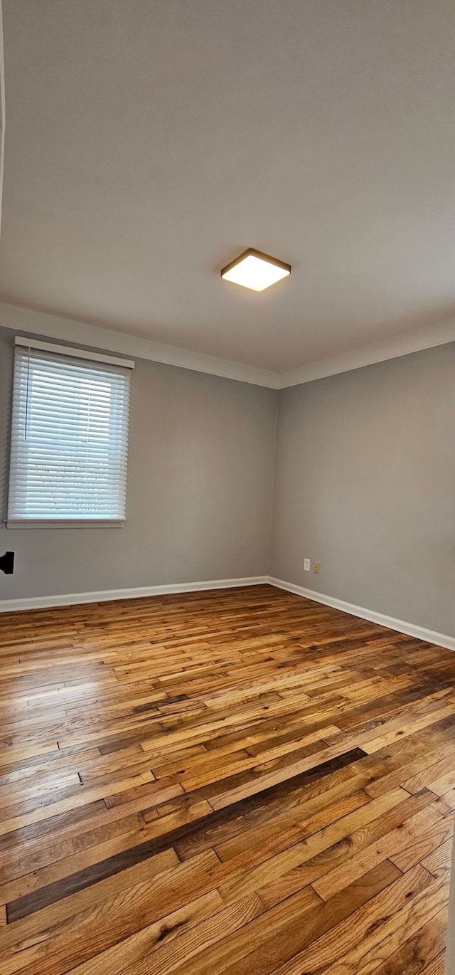 unfurnished room featuring light hardwood / wood-style floors and ornamental molding