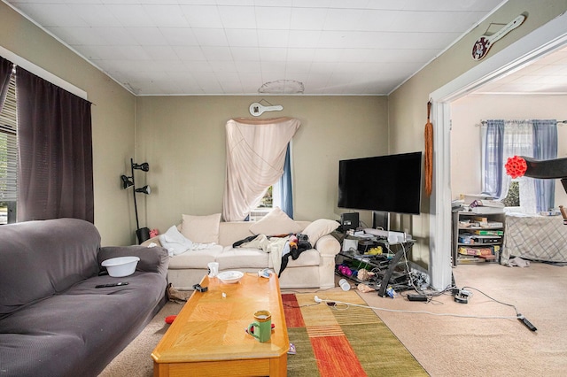 living room featuring carpet floors