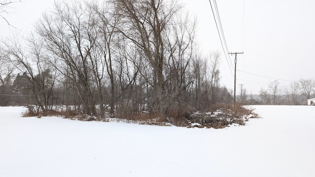 view of yard covered in snow