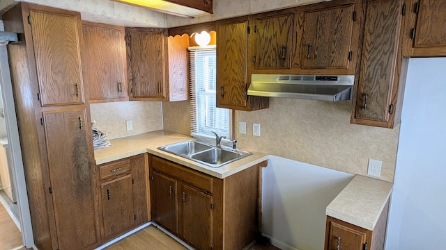 kitchen with sink, light hardwood / wood-style flooring, and tasteful backsplash