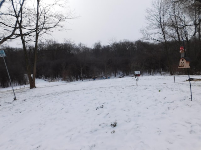 view of snowy yard