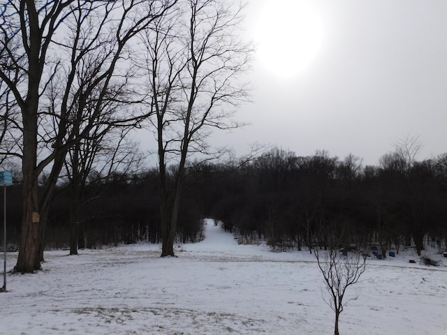 view of yard layered in snow