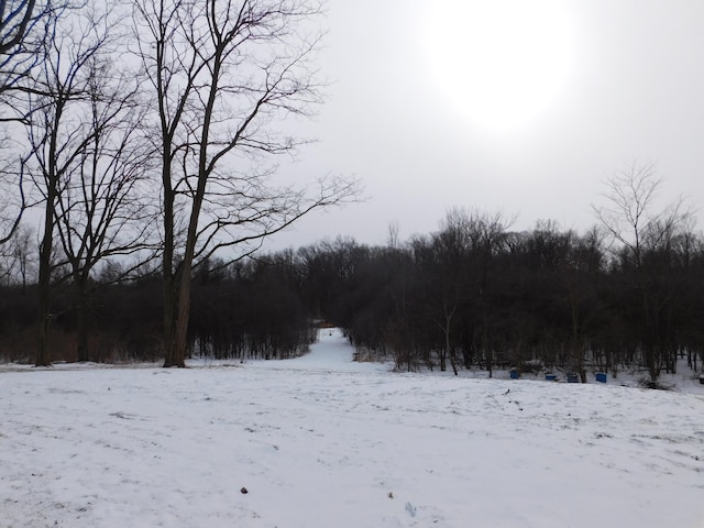 view of yard covered in snow