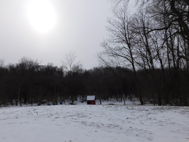 view of yard layered in snow