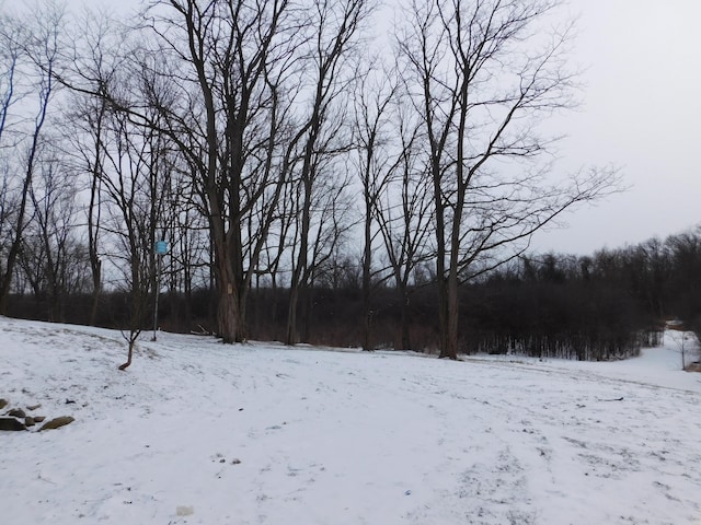 view of yard layered in snow