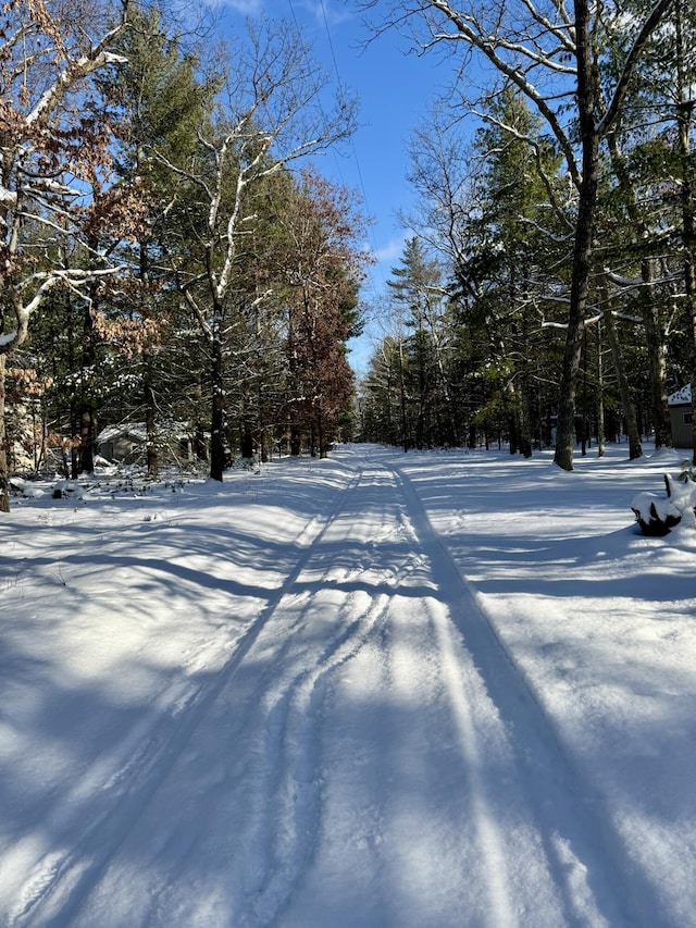 view of snowy yard