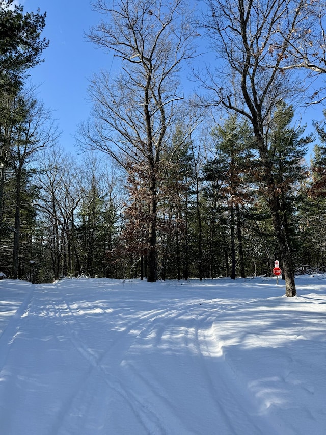 view of snowy yard