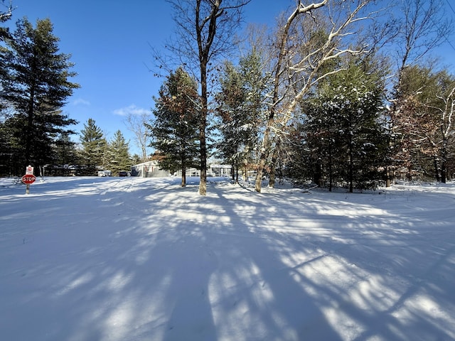 view of snowy yard