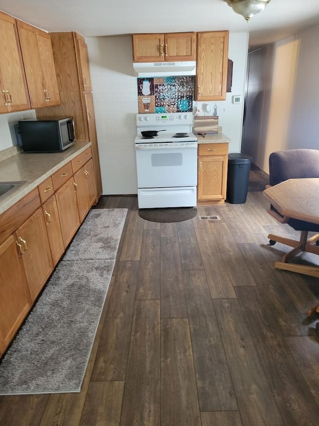 kitchen featuring sink, white electric stove, and dark hardwood / wood-style flooring