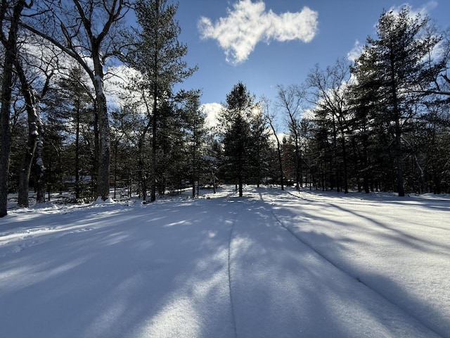 view of yard layered in snow