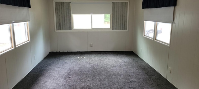 carpeted spare room featuring a wealth of natural light