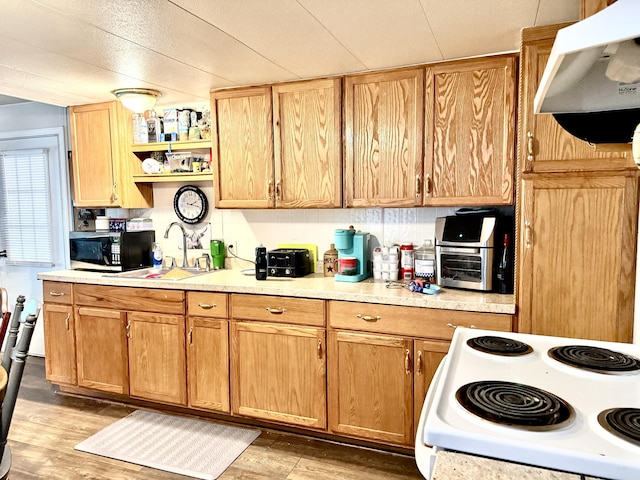 kitchen with sink, light hardwood / wood-style floors, range hood, and electric range