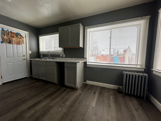 kitchen featuring radiator heating unit, dark hardwood / wood-style floors, sink, and gray cabinetry