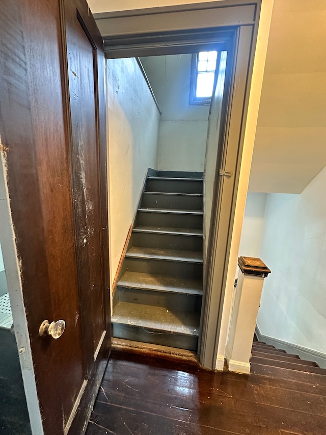 stairs with wood-type flooring