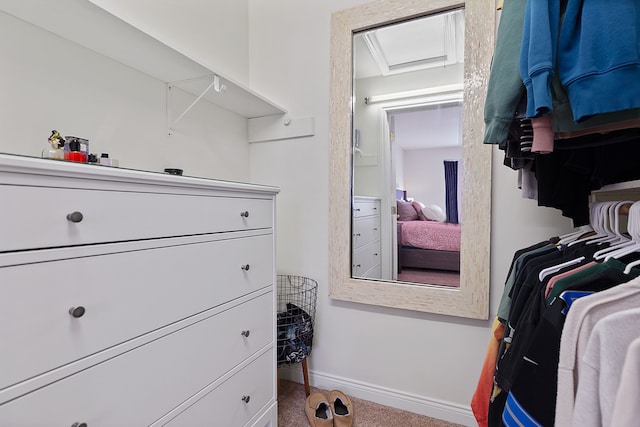 walk in closet with carpet floors