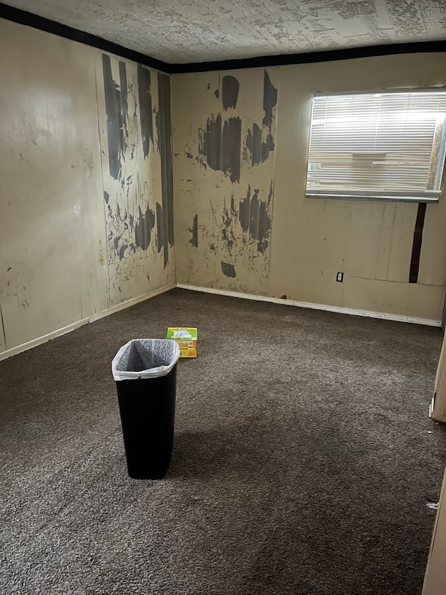 carpeted spare room featuring crown molding and a textured ceiling