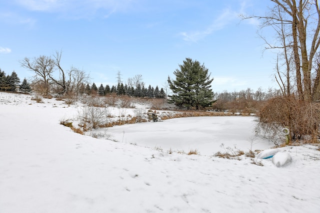 view of yard layered in snow