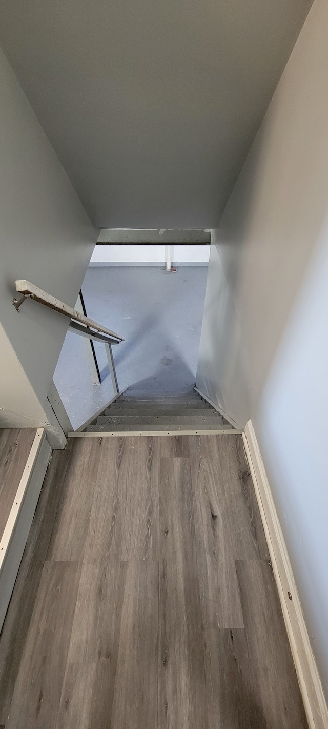 stairway with hardwood / wood-style floors