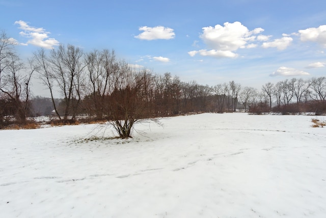 view of snowy yard