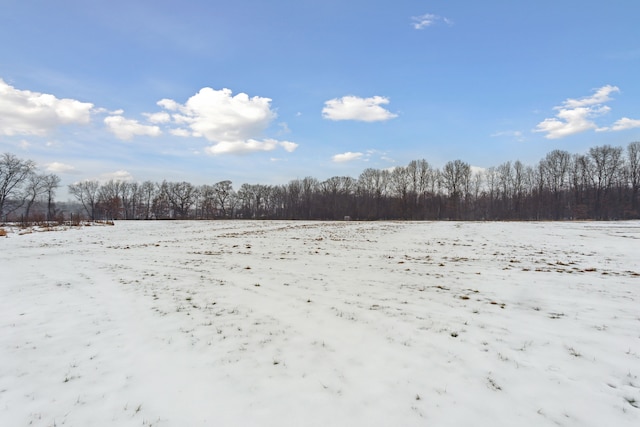 view of snowy yard