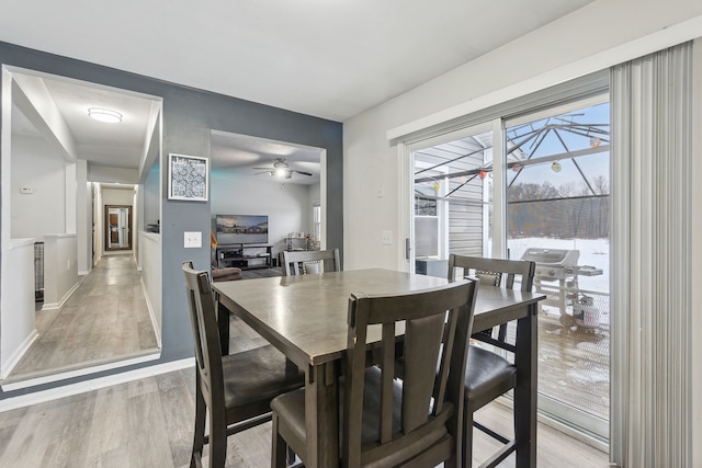 dining room with light hardwood / wood-style flooring and ceiling fan