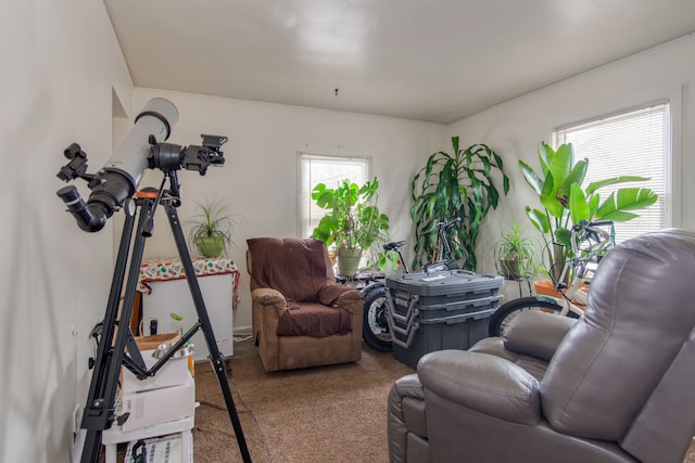 living room featuring carpet flooring