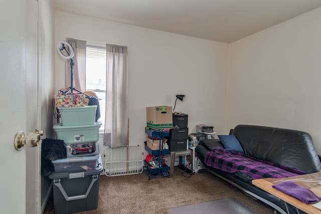 living area with carpet flooring