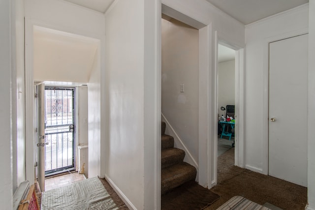 foyer entrance with carpet floors