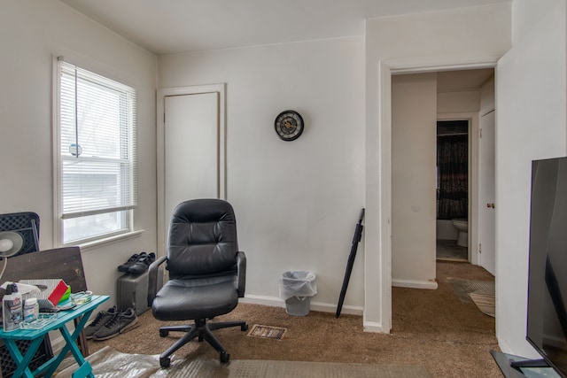 sitting room featuring carpet floors