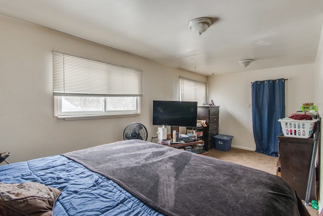 carpeted bedroom with multiple windows