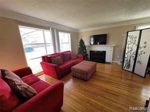 living room with hardwood / wood-style floors and plenty of natural light